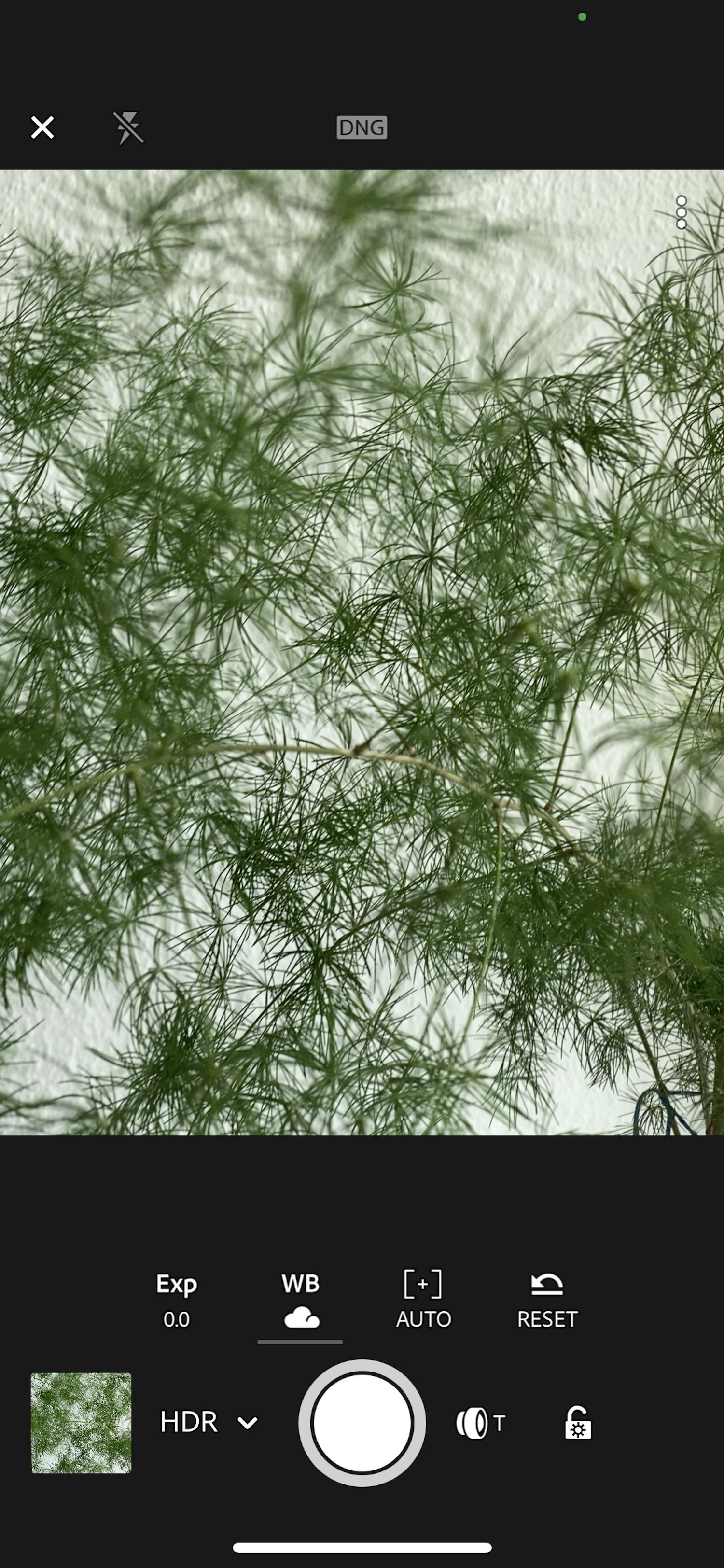 Skjermbilde av Lightroom-appen